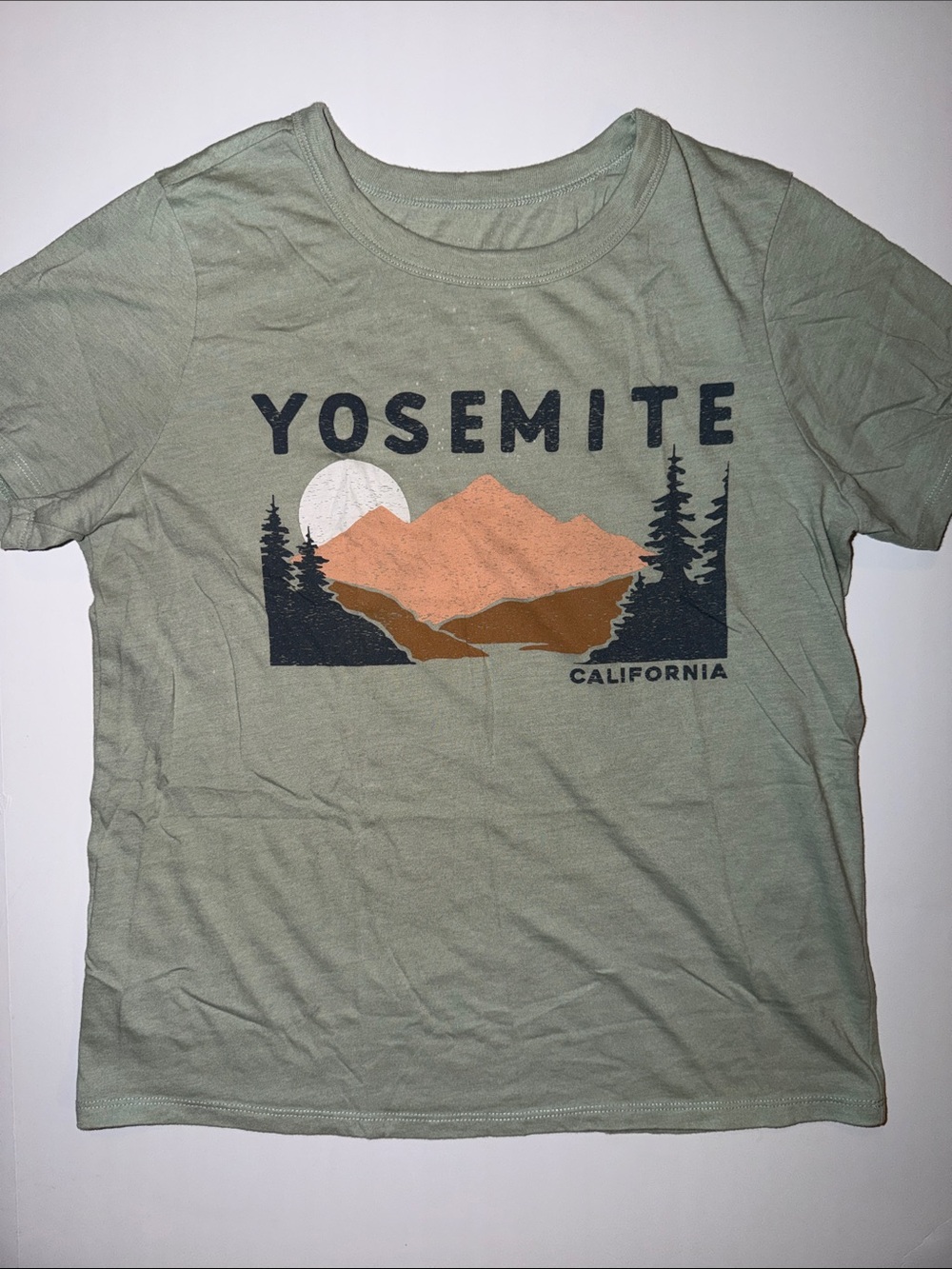 Zoe + Liv Yosemite Graphic Tee in Sage Green with Peach & Brown Print